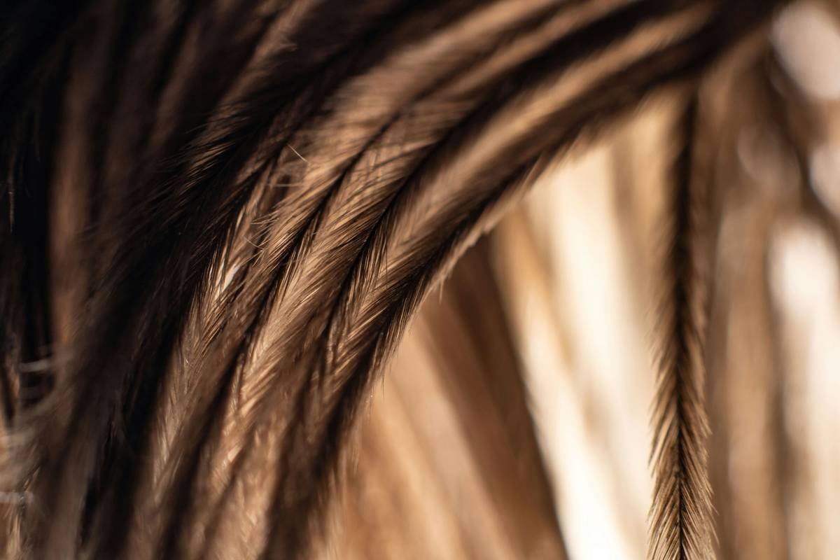 Why Your Hair Clips Lose Their Luster—And How Shine Serum Fixes It